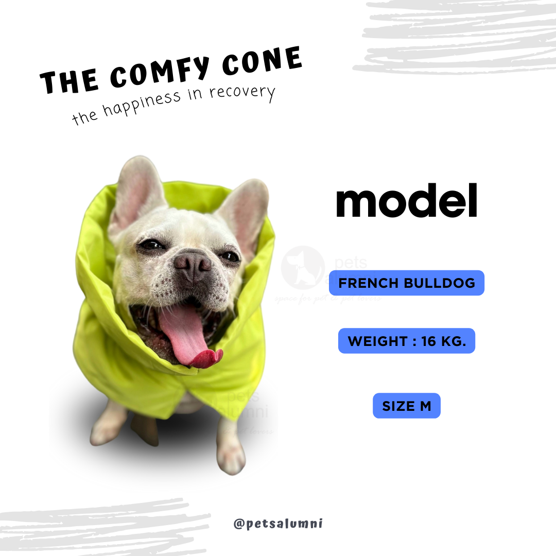 The Comfy Cone BOBA