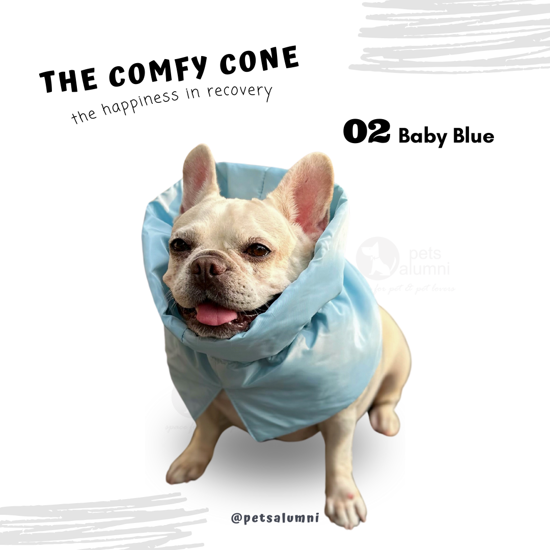blue dog